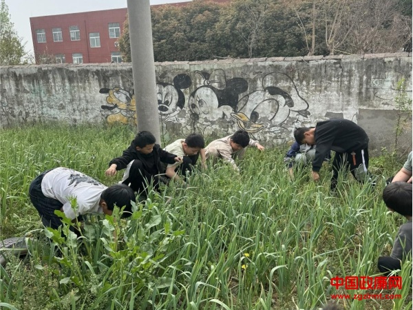 图片2.jpg